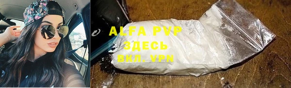 спиды Богородицк
