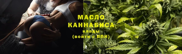 спиды Богородицк