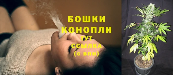 первитин Богданович