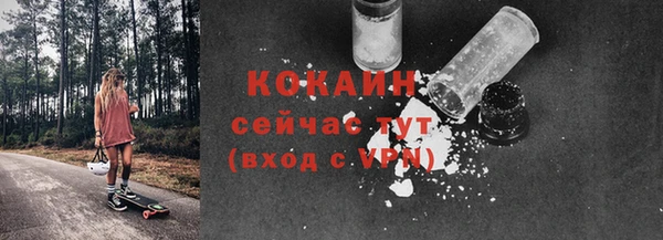 2c-b Богородск
