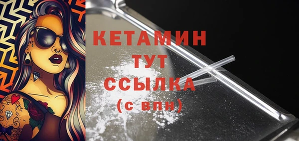 спиды Богородицк