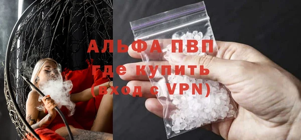 спиды Богородицк