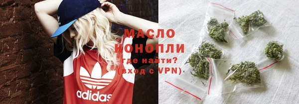 спиды Богородицк