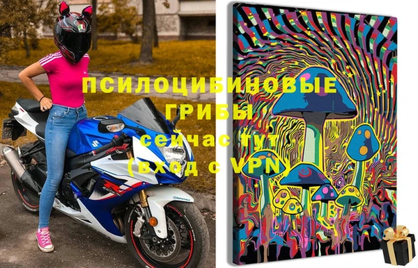 2c-b Богородск