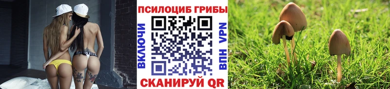 Галлюциногенные грибы прущие грибы  Кореновск 